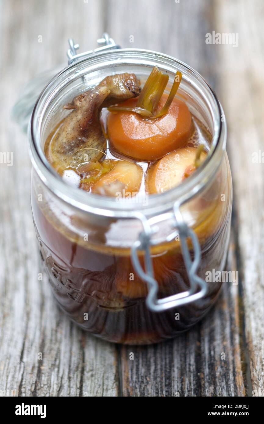 Duck with turnip in jar Stock Photo