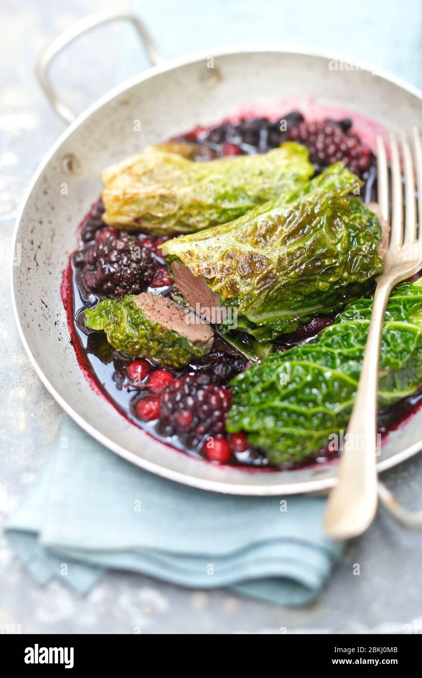 Roe deer rolls with cabbage forest fruit juice Stock Photo - Alamy