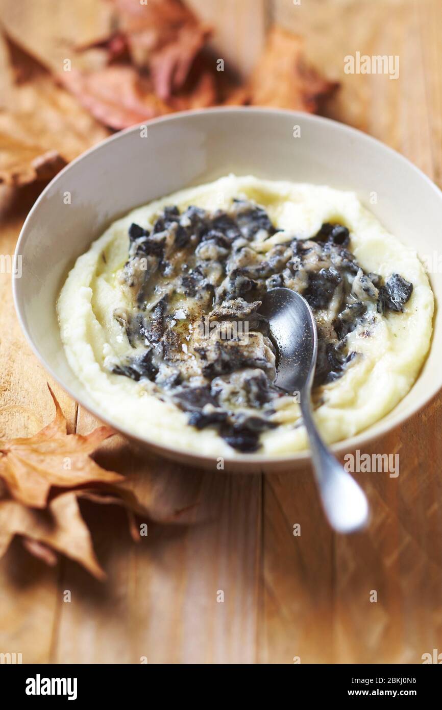 Trumpet puree Stock Photo