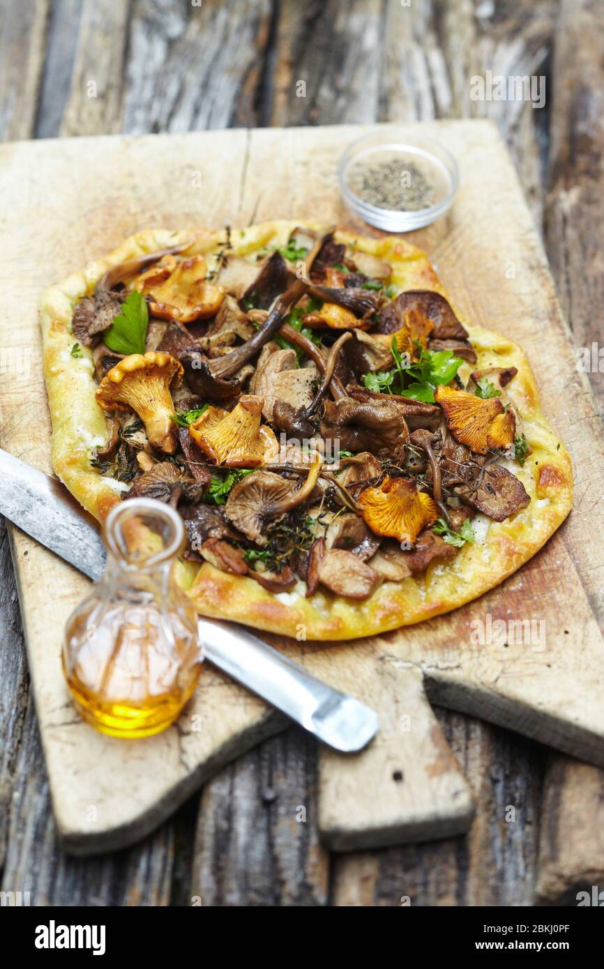 Pizza flavors with wild mushrooms Stock Photo
