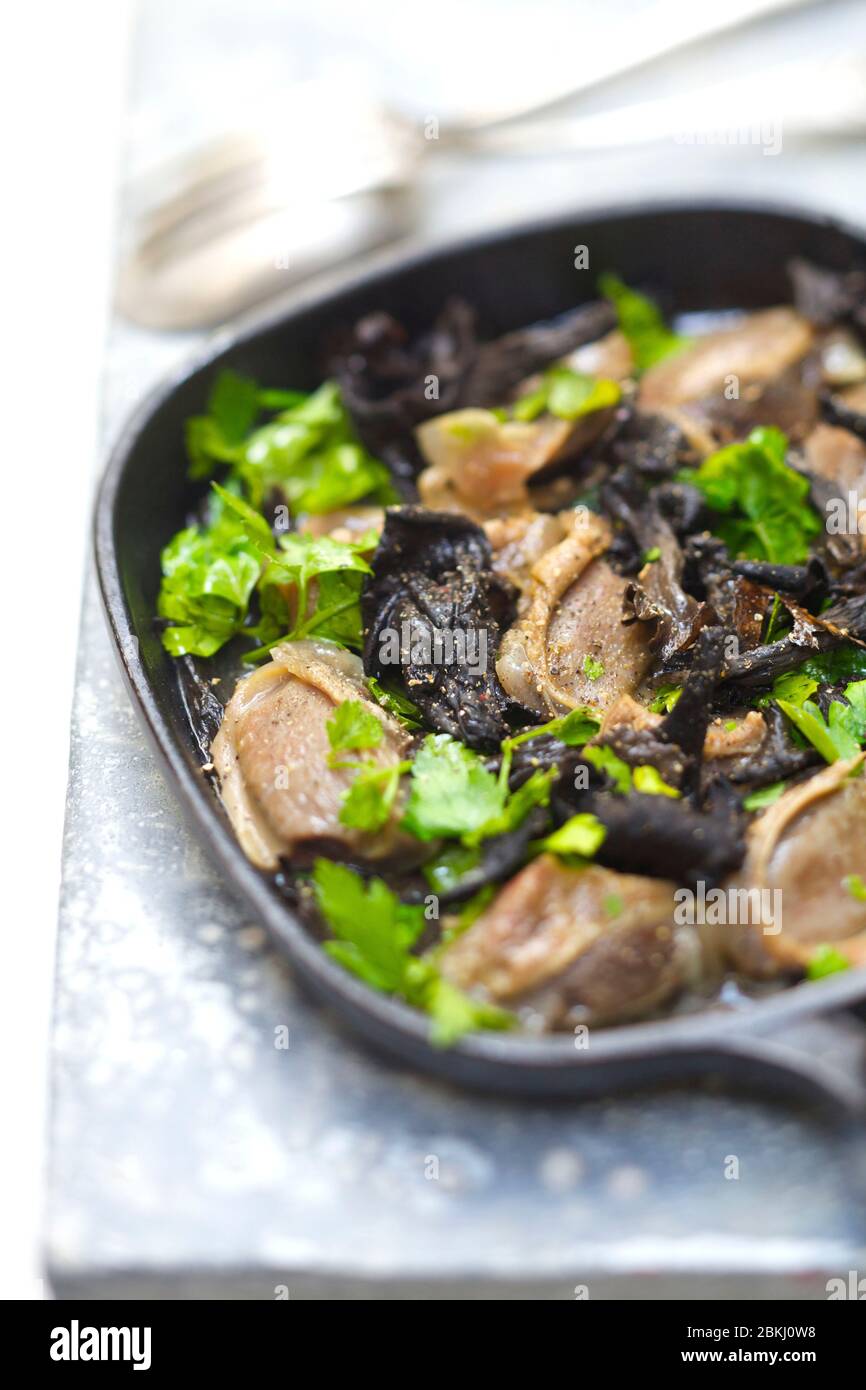 Trumpet and gizzards with parsley Stock Photo