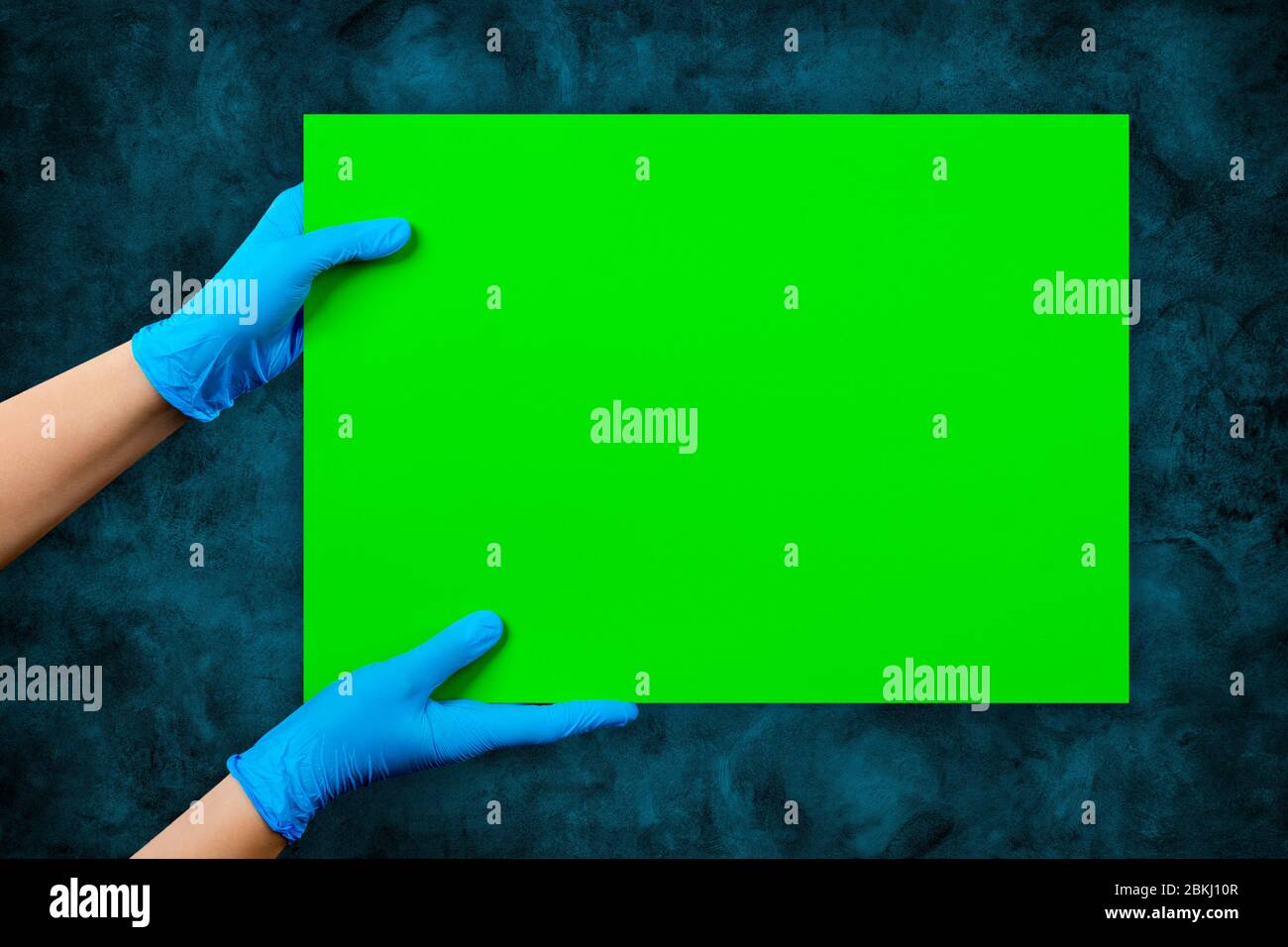 Empty green card in doctor’s hands in blue gloves with copy space, on blue cement grunge wall background. Stock Photo