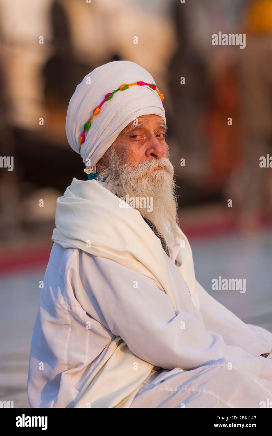 India, Punjab State, Amritsar, Harmandir Sahib, portrait of a Sikh man in meditation, holy place of Sikhism Stock Photo