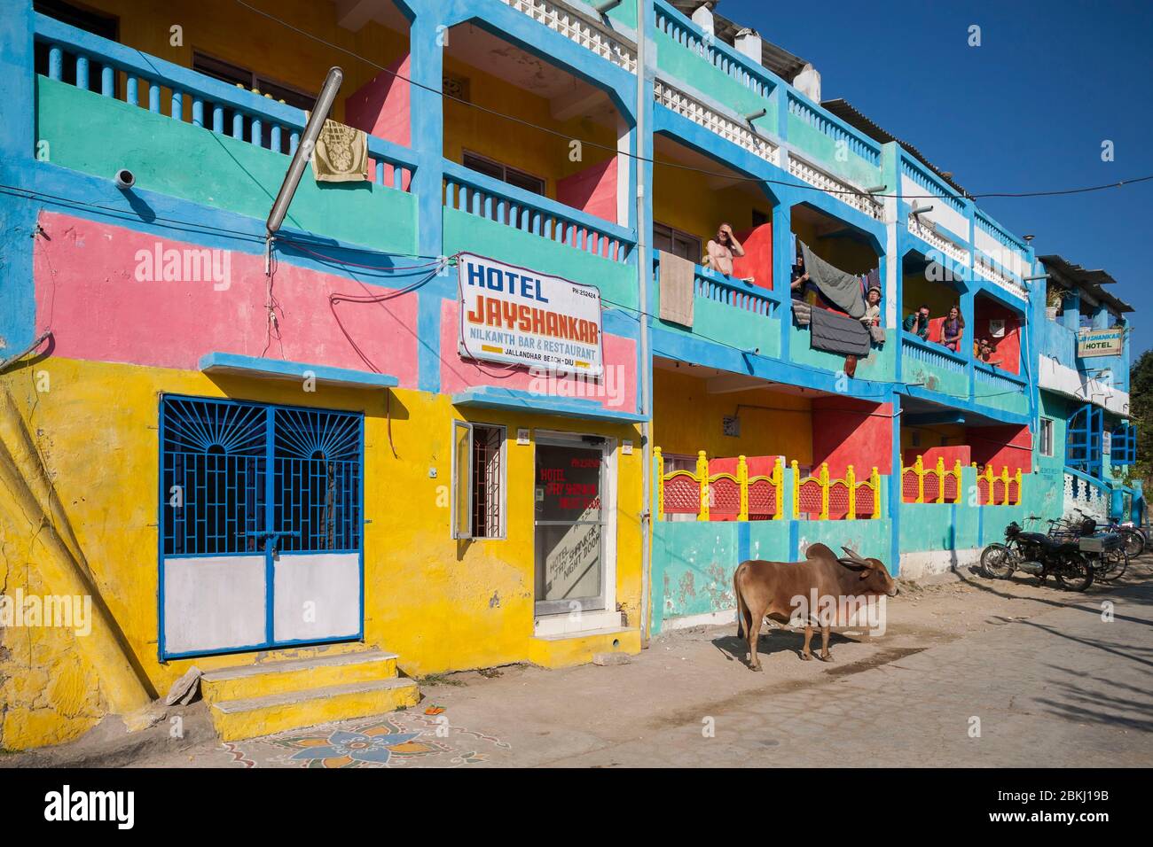 India, Daman and Diu Territory, Diu District, backpacker tourist hotel Jayshankar, colorful facade and tourists observing a sacred cow from their balcony Stock Photo