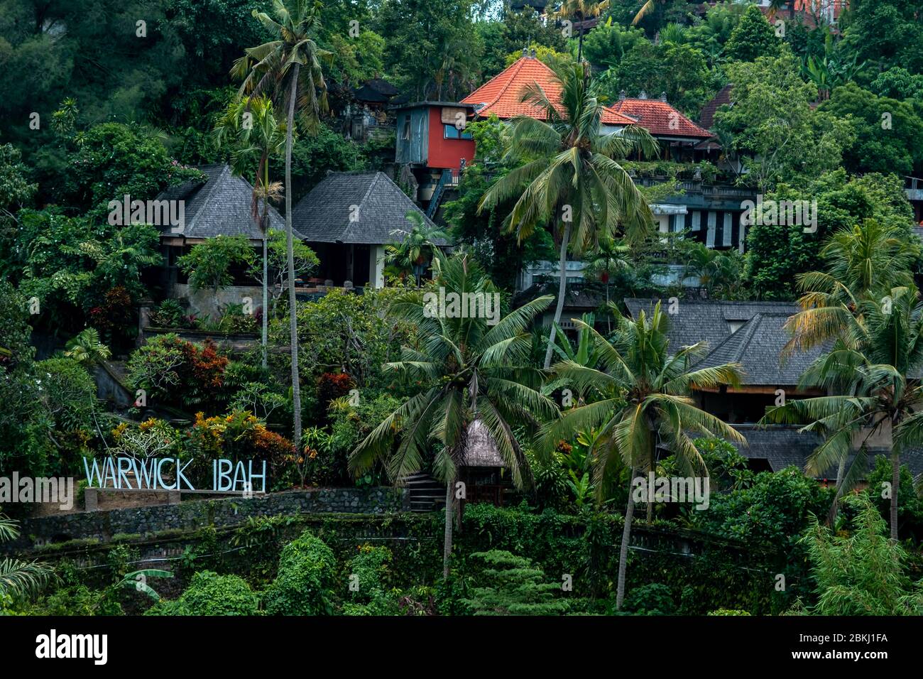 Landscape photo of Ubud, Bali Island. Stock Photo