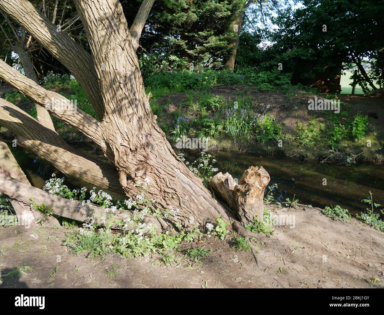 The River Pool, in Kent and South East London, England Stock Photo