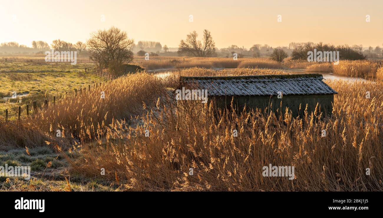 France, Somme (80), Baie de Somme, Le Hourdel, The enclosures (polders) of the Baie de Somme covered with frost in the early morning Stock Photo