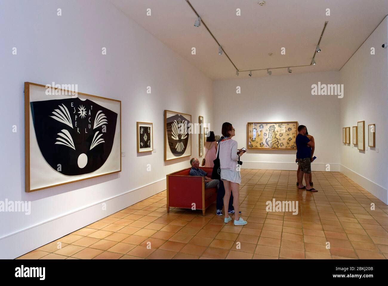 France, Alpes Maritimes, Nice, Cimiez Hill district, the Matisse Museum, the work of Henri Matisse Stock Photo