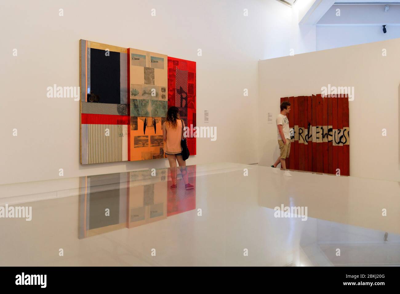 France, Alpes-Maritimes, Nice, old town district, the Modern and Contemporary Arts Museum (MAMAC), Ruby Goose of Robert Rauschenberg and Avenue d'Italie of Raymon Hains Stock Photo