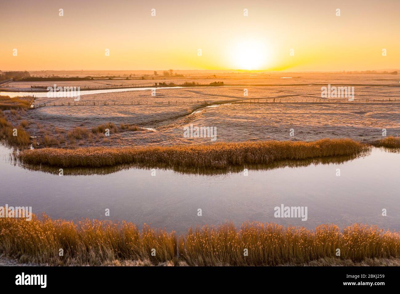 France, Somme (80), Baie de Somme, Saint-Valery-sur-Somme, the enclosures (polders) of the Baie de Somme covered with frost in the early morning (aerial view) Stock Photo