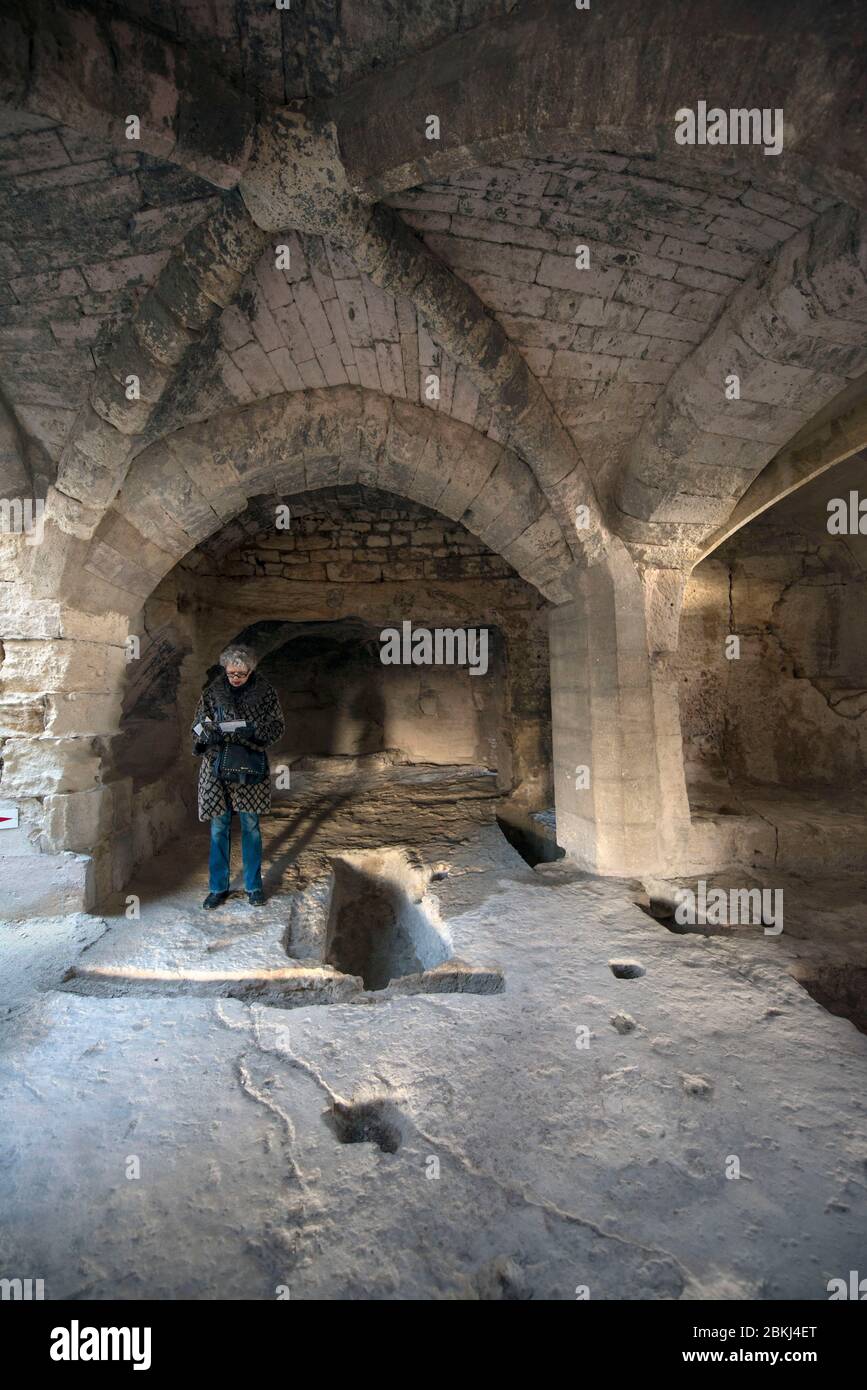 France, Gard, Beaucaire, troglodyte abbey of Saint-Roman, vestiges of a monastery, end of the 5th century, chapel Stock Photo