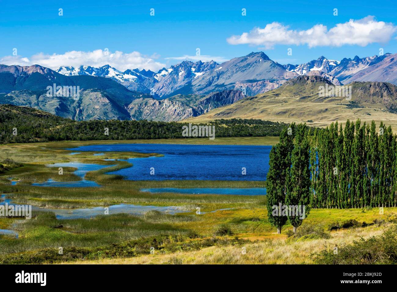 Chile, Patagonia, Aysen, Coyhaique, the Chacabuco Valley, in the new Patagonia National Park which has just been created on the border with Argentina Stock Photo