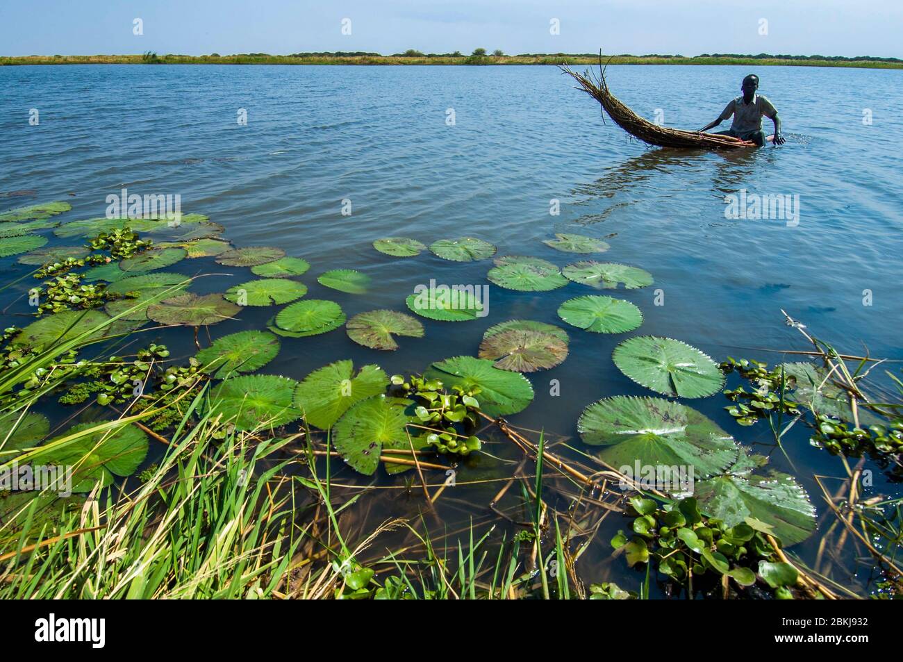Sudan, Fachoda, White Nile, Shilluk fisherman in an ambatch skiff, or ...