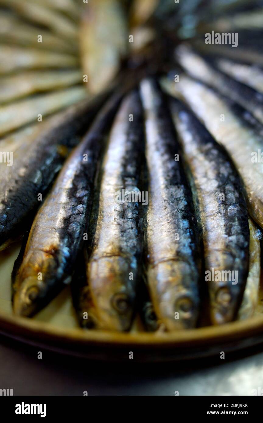 Sardines in oil Stock Photo Alamy