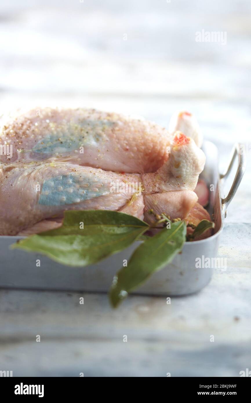 Bay leaf hires stock photography and images Alamy