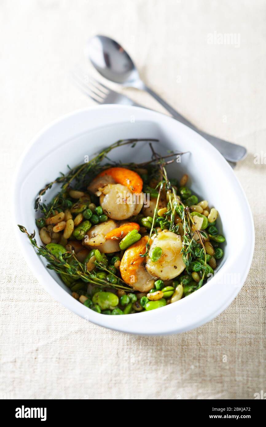 Fricassee SaintJacques, flageolet pea beans thyme Stock Photo Alamy