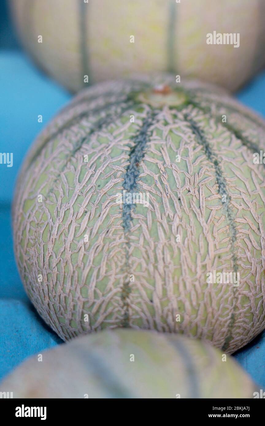Melon hi-res stock photography and images - Alamy