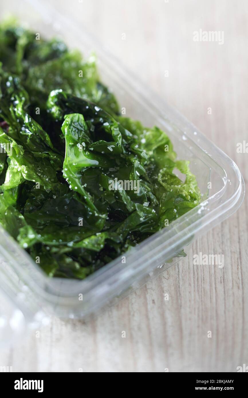 Sea lettuce algae Stock Photo