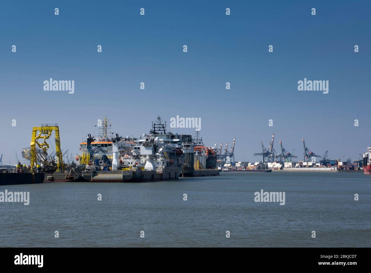 Huge cranes and ships anchored at harbor. International commercial port, city of Rotterdam background. Logistics business Stock Photo