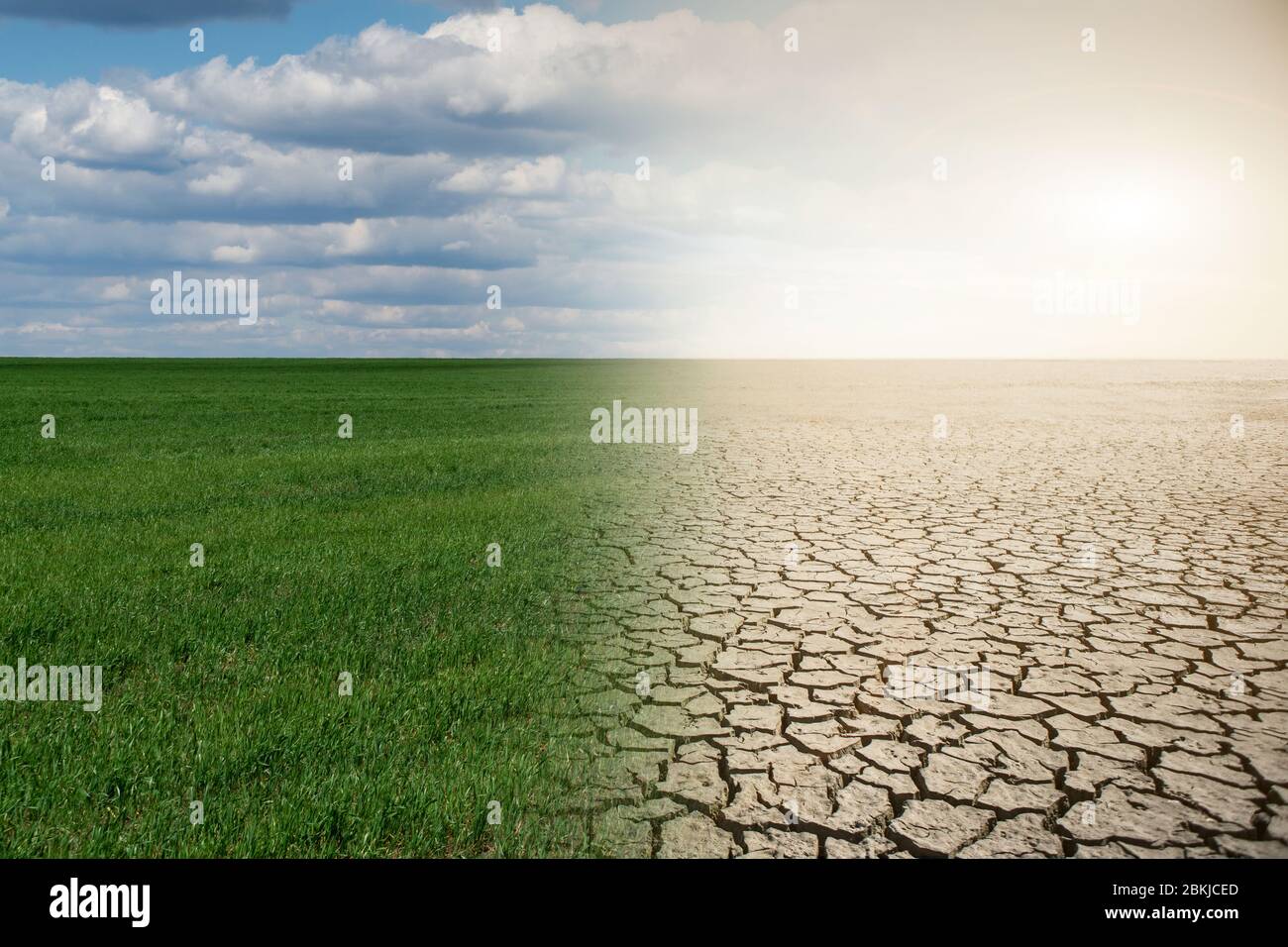 Landscape with half green field and half desert. Global warming concept Stock Photo