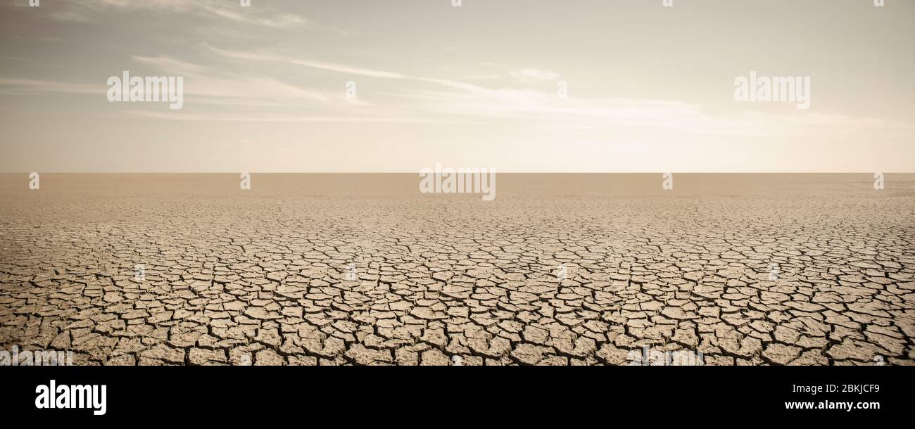 Panorama of dry cracked desert. Global warming concept Stock Photo