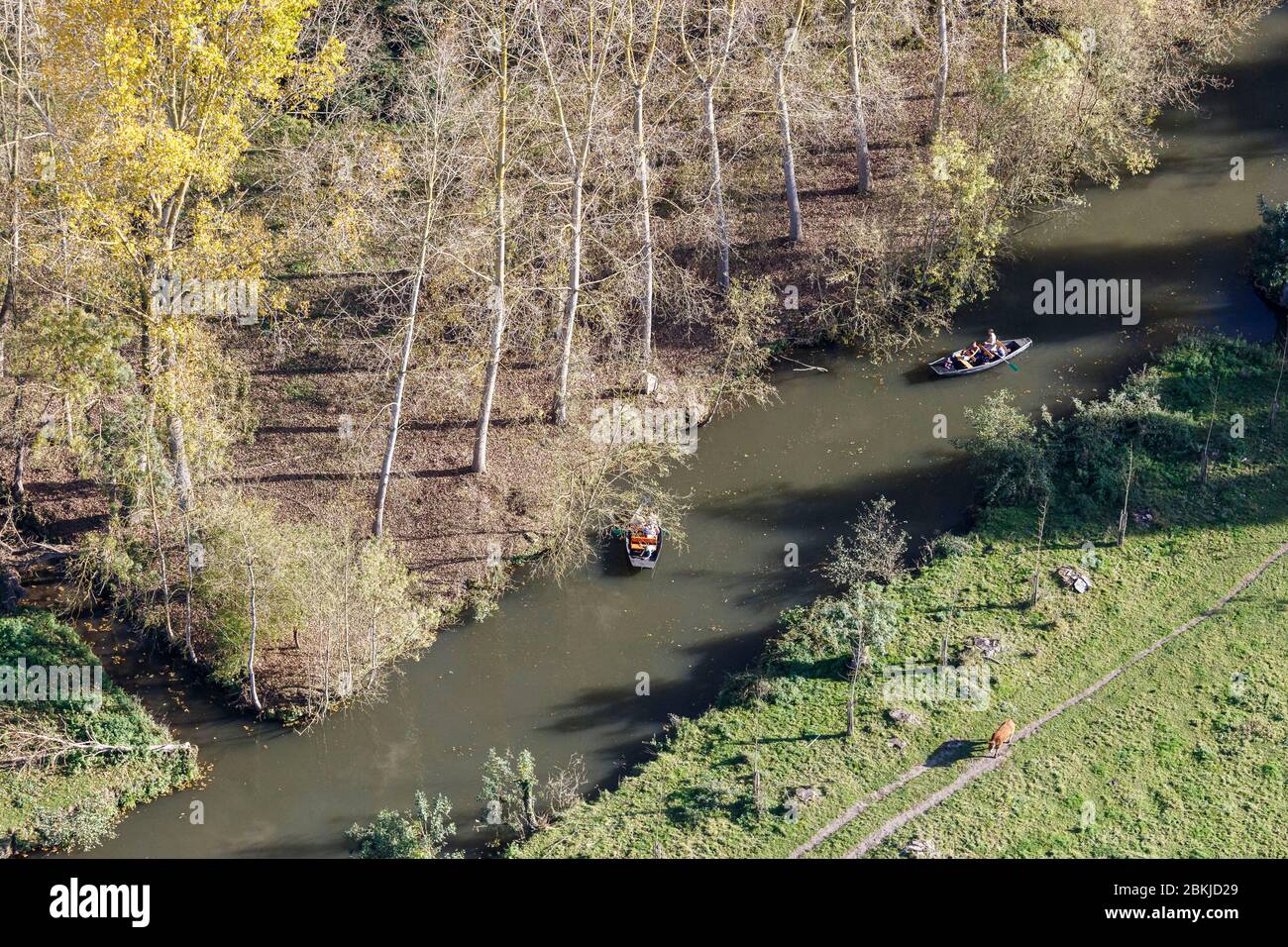 France, Deux Sevres, Sansais, boat ride on a canal of the Marais Poitevin (aerial view) Stock Photo