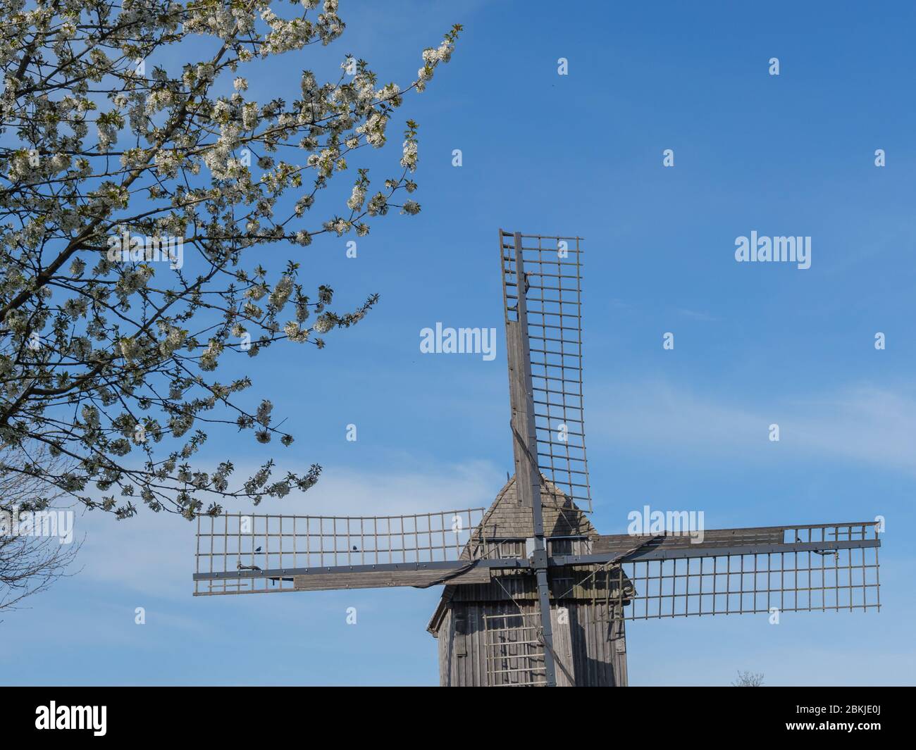 windmill in germany Stock Photo Alamy