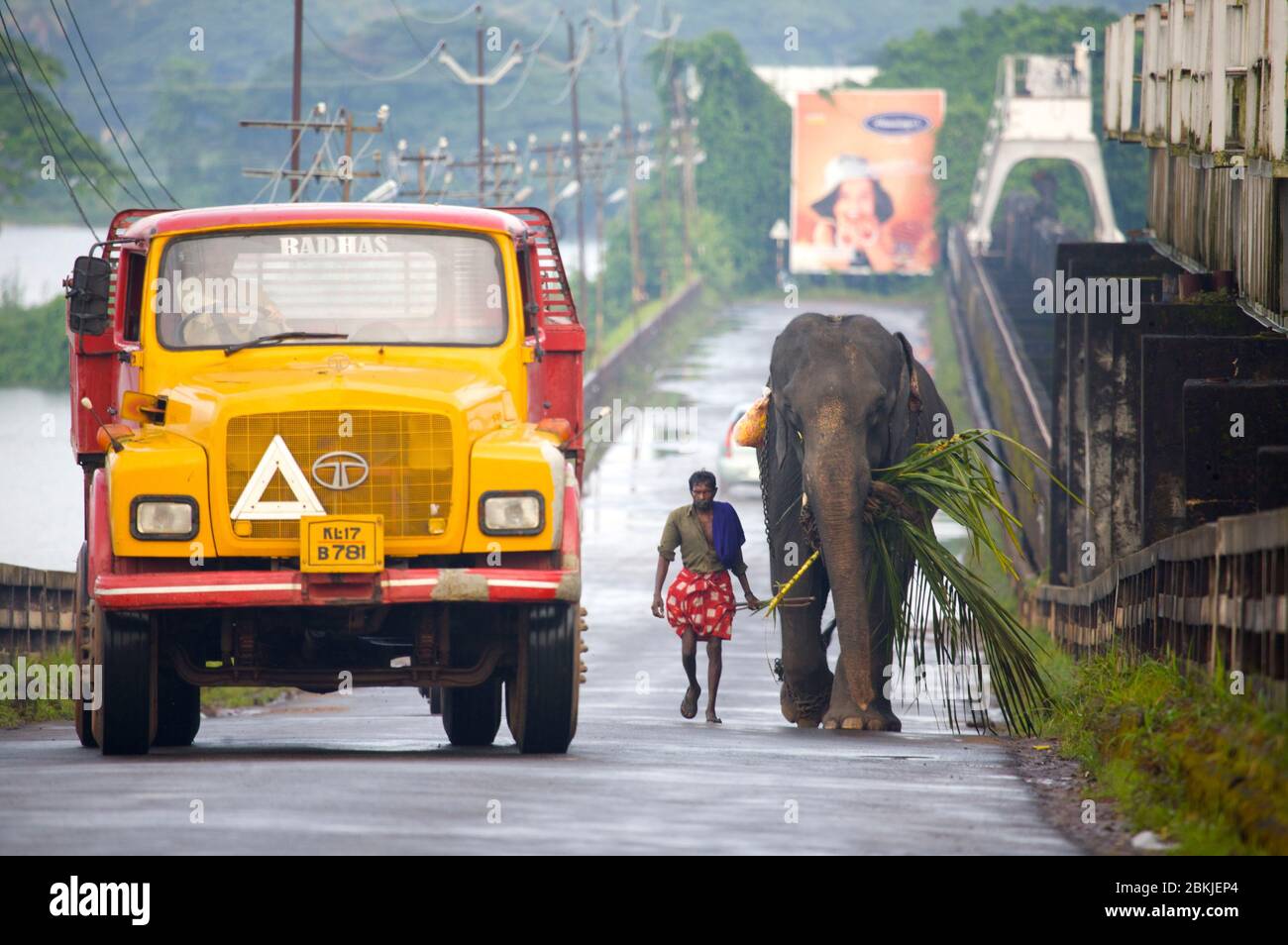 India, Kerala, atmosphere on the road Stock Photo