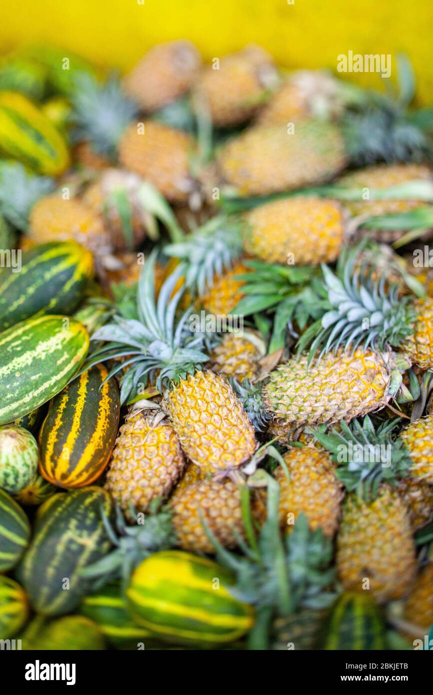 India, Kerala, the market Stock Photo Alamy