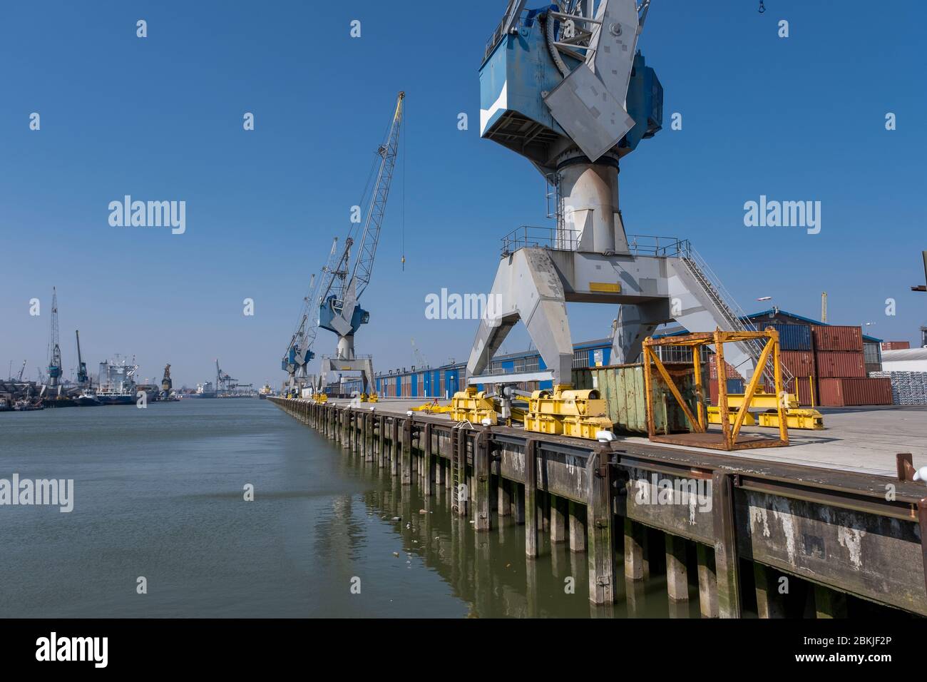 Huge cranes and ships anchored at harbor. International commercial port, city of Rotterdam background. Logistics business Stock Photo