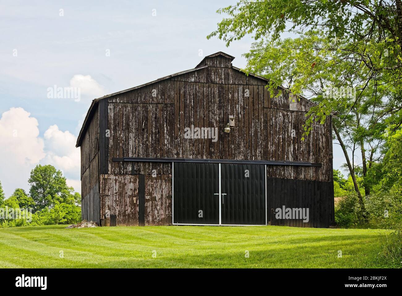 old barn, deteriorating wood, green grass, trees, rural scene, Maker's