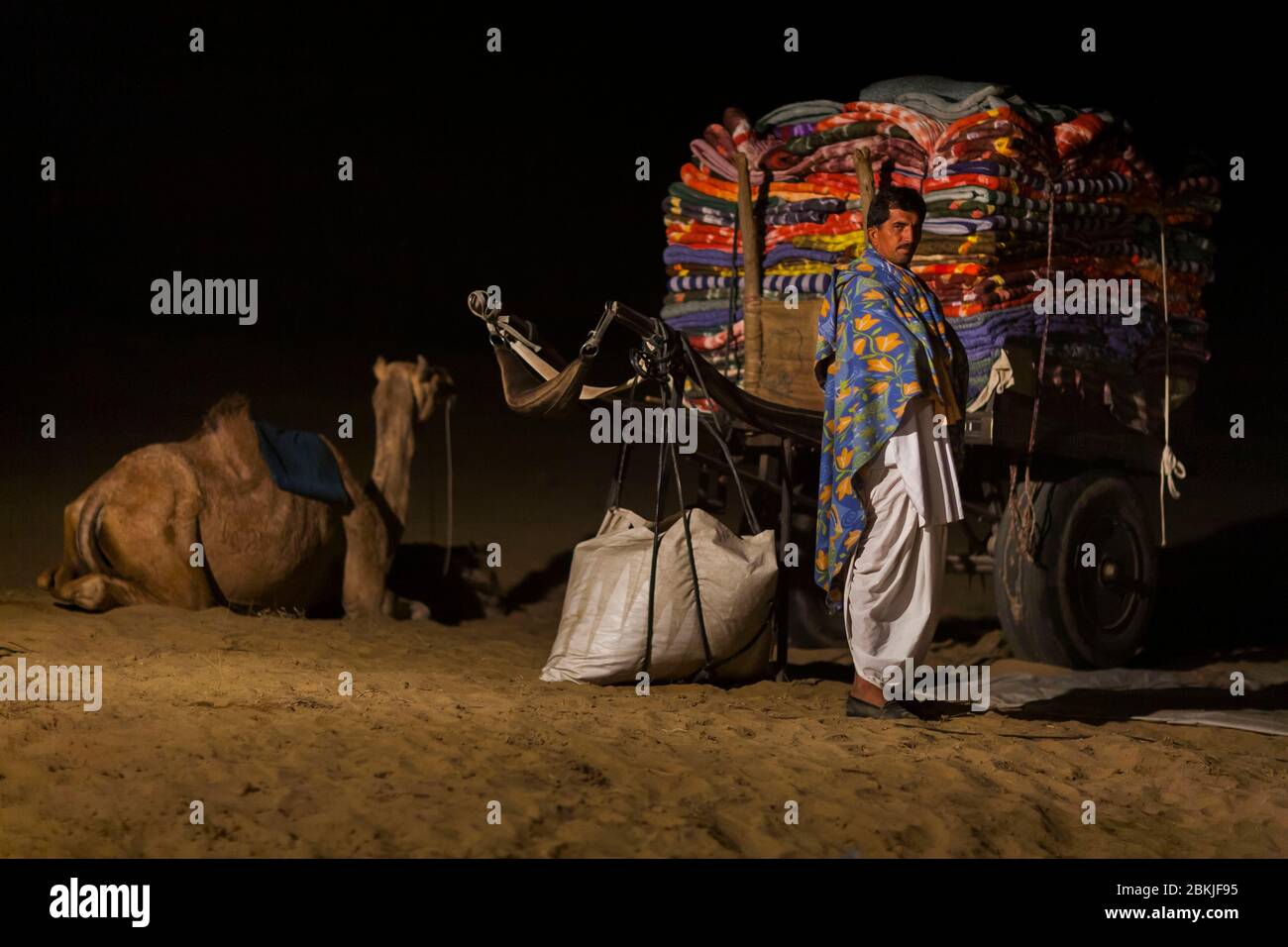 India, Rajasthan, Bikaner, Camel Festival, carpet seller getting ready to spend the night in the desert Stock Photo