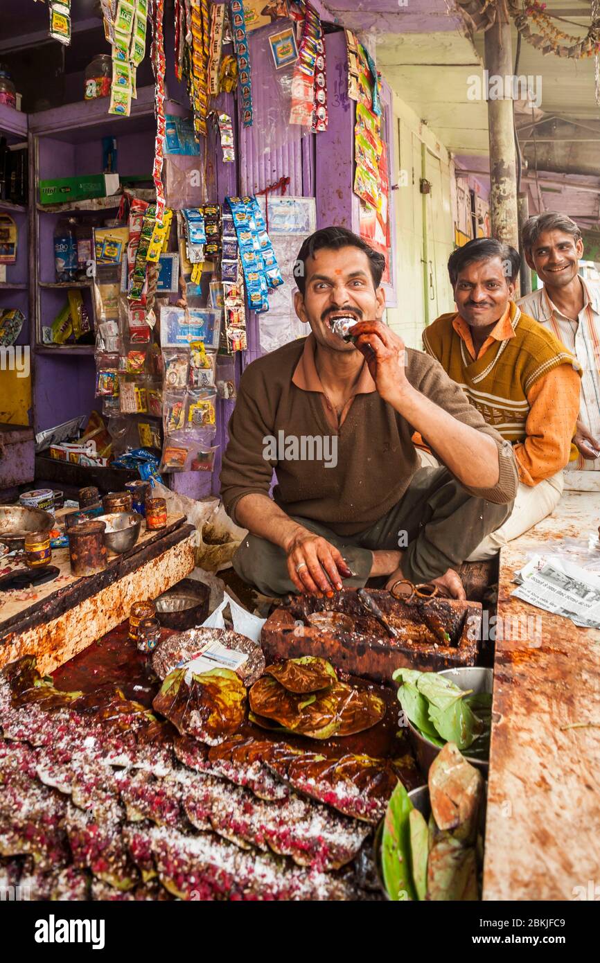 India, Rajasthan, Bundi, paan seller, preparation combining betel leaves with areca nut and tobacco Stock Photo