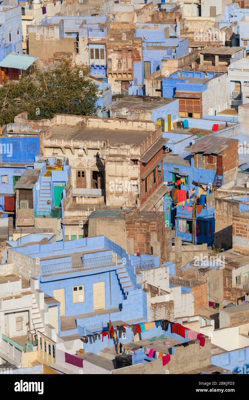 India, Rajasthan, Jodhpur, Pachetia Hill, elevated view on the blue city rooftops Stock Photo