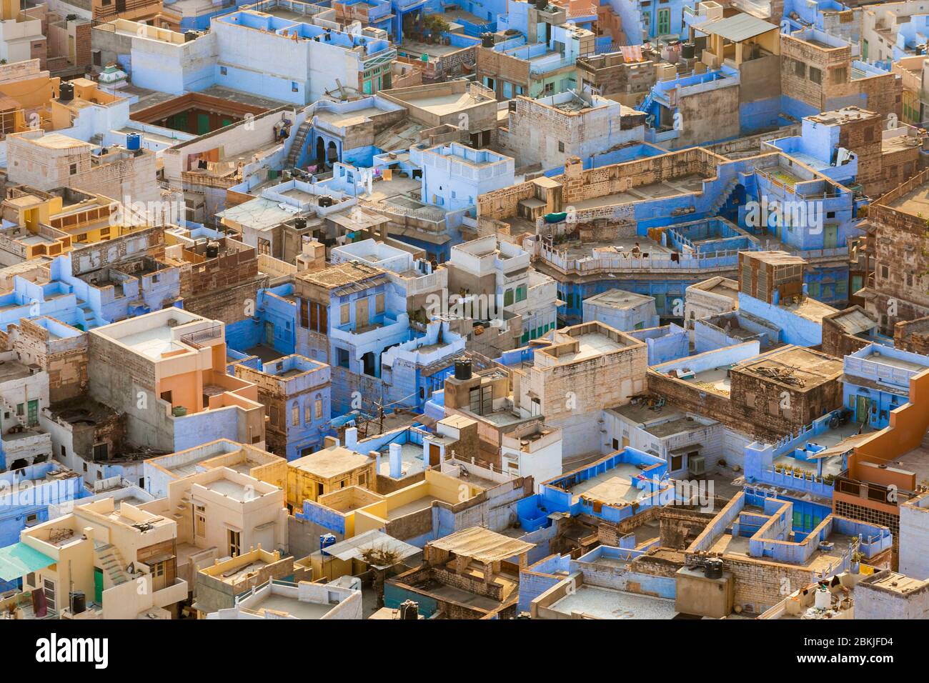 India, Rajasthan, Jodhpur, Pachetia Hill, elevated view on the blue city rooftops Stock Photo