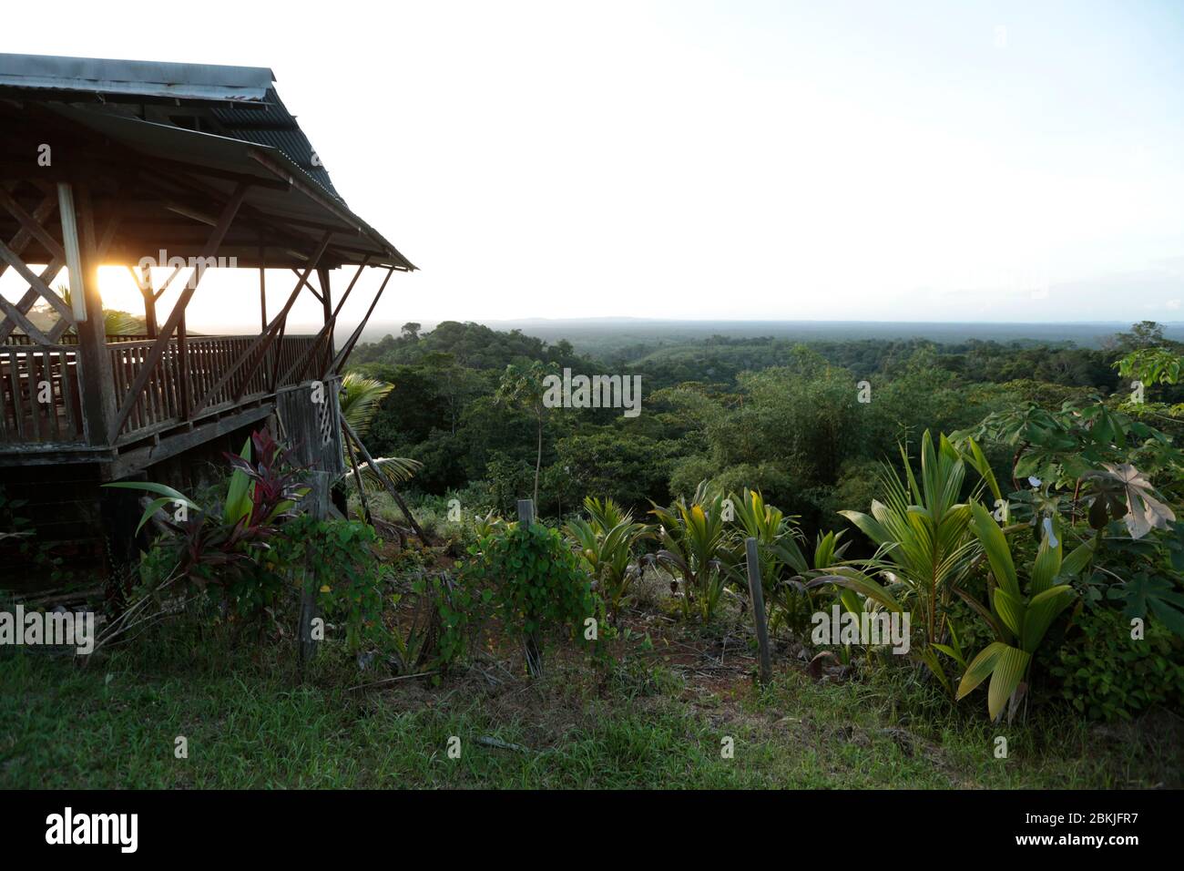 France, Guyana, near Cacao, view of the Amazon forest at the arrival of the Hmongs Stock Photo