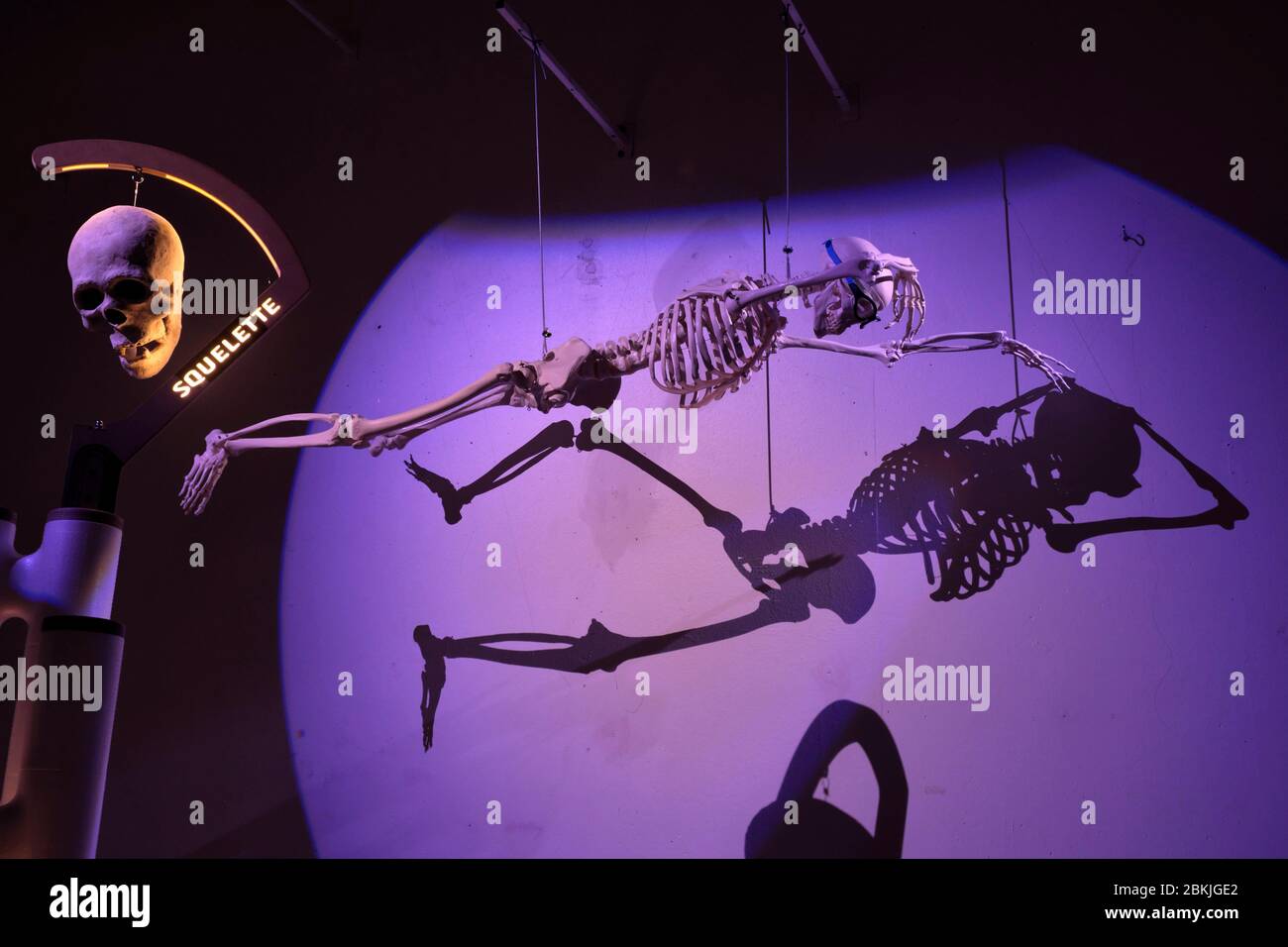 France Doubs Montbeliard Pres La Rose Park Pavillon Des Sciences Exposure Human Body Mission In 2020 Stock Photo Alamy
