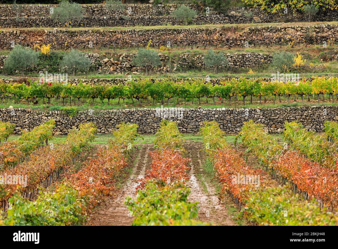Bras var hi-res stock photography and images - Alamy