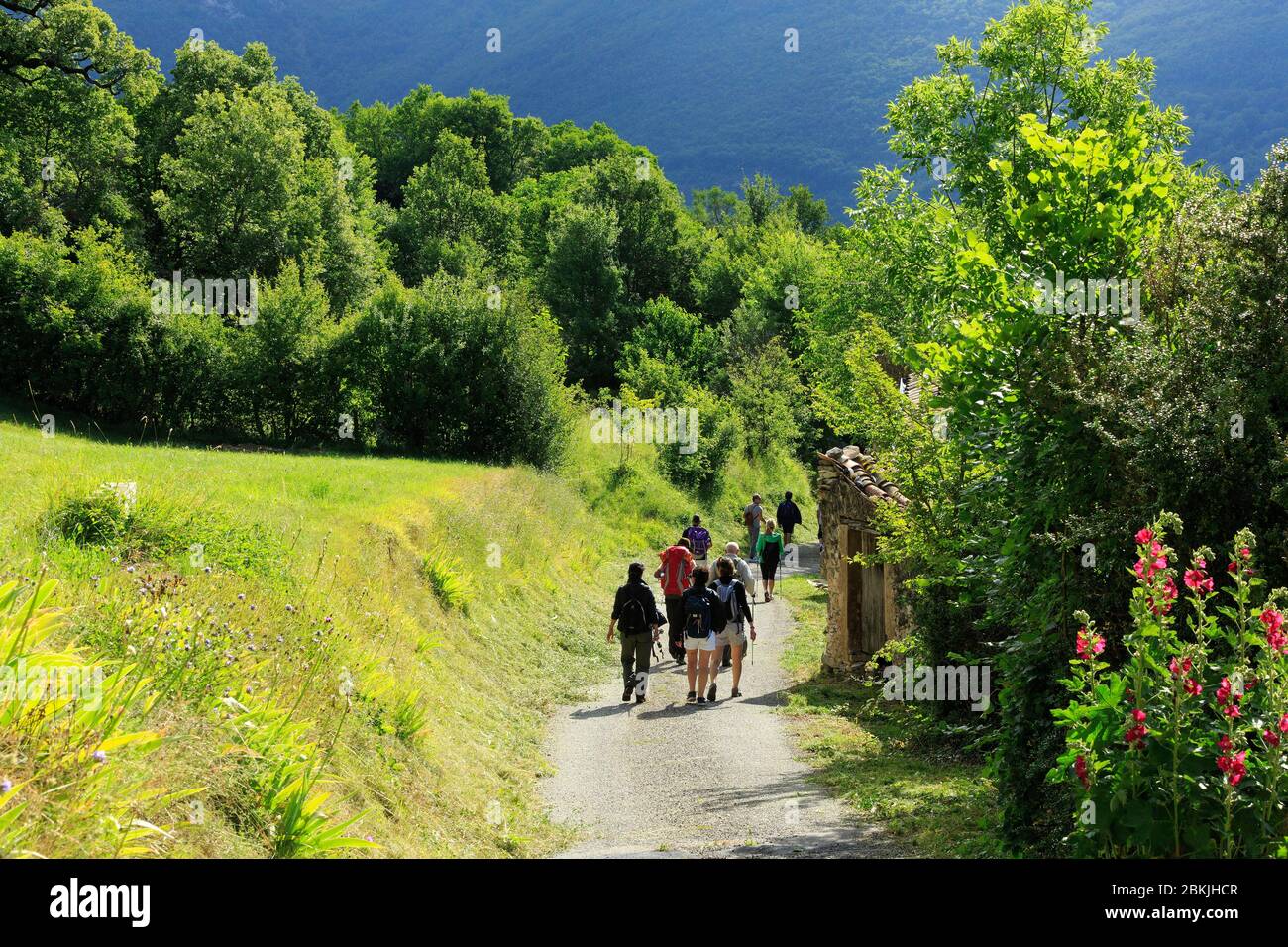 France, Drome, Vercors Regional Natural Park, Plan de Baix, Walk with La Pensee Sauvage, Detox stay Stock Photo