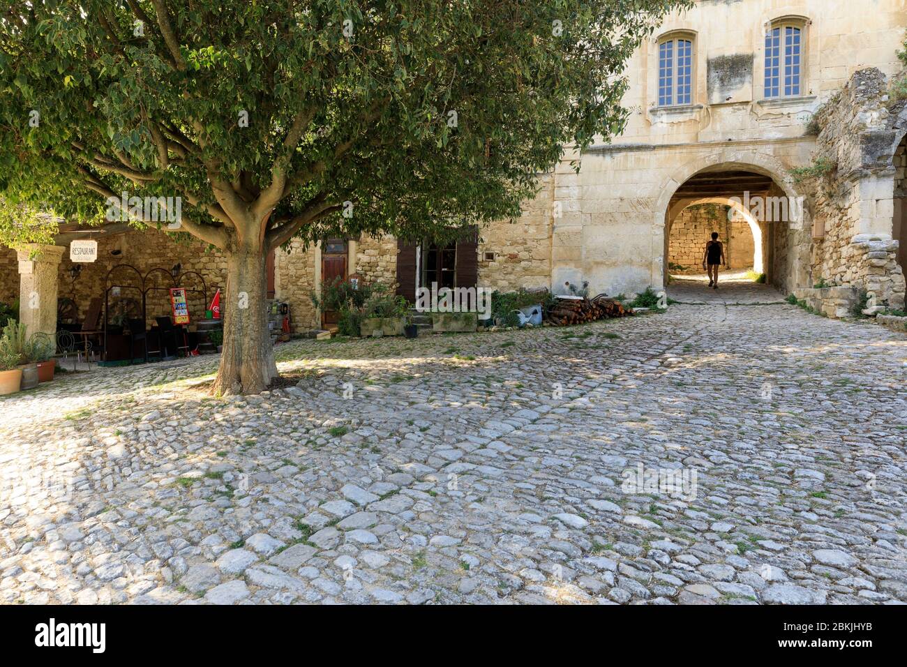 France, Vaucluse, regional natural park of Luberon, Oppede le Vieux