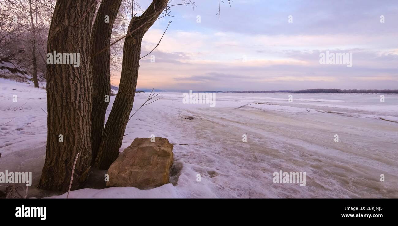 Winter landscape at dawn, riverbank of a frozen ice. Hanging tree ...