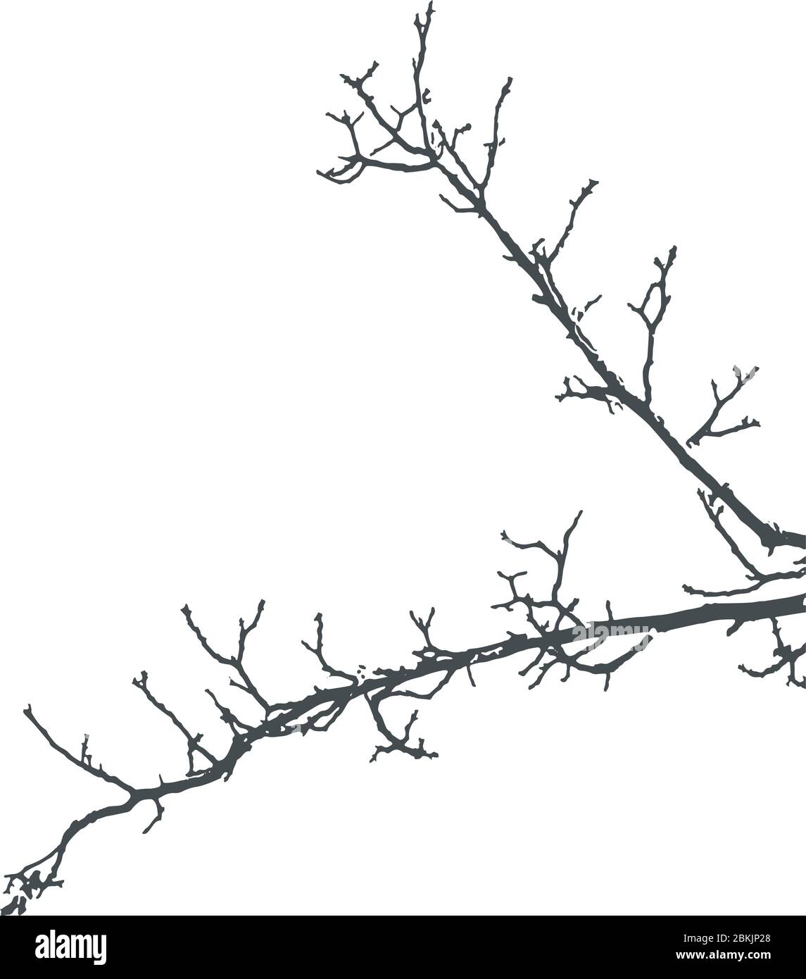 Tree Branches Silhouette Stock Vector Image Art Alamy