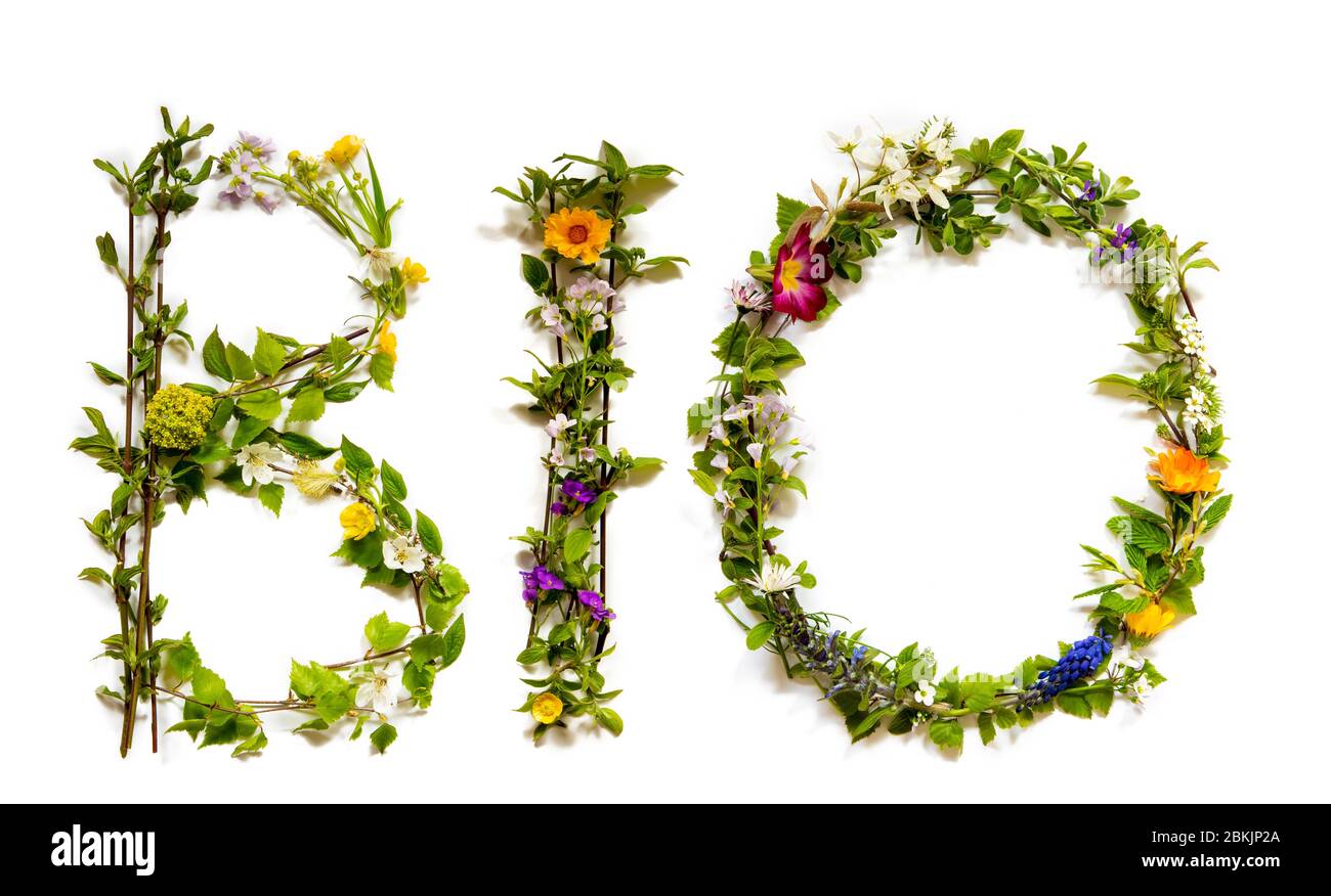 Flower And Blossom Letter Building Word Bio Means Organic Stock Photo