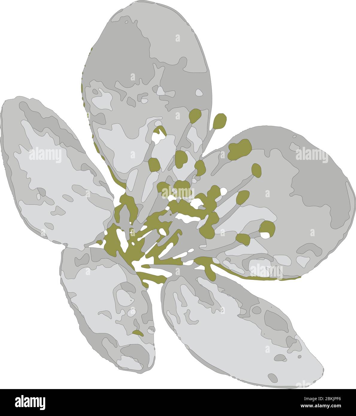 spring flowers in nature Stock Vector Image & Art - Alamy