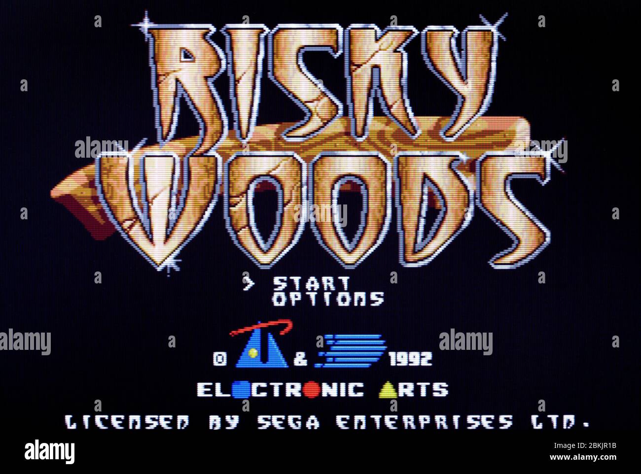 Risky Woods - Sega Genesis Mega Drive - Editorial use only Stock Photo