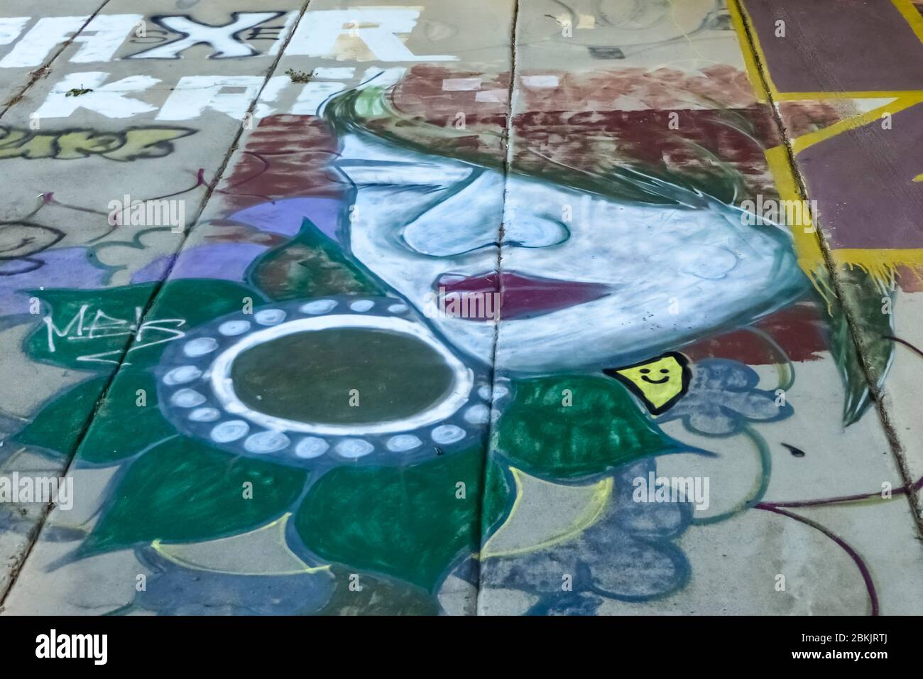 Graffiti wall of a flower with a woman's face next to it on grey concrete Stock Photo