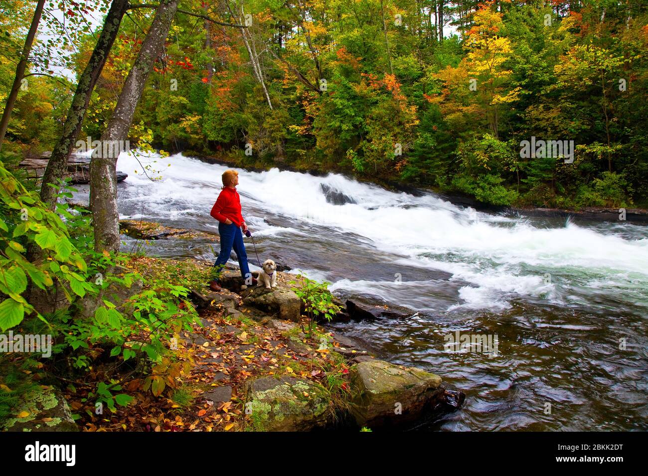 Buttermilk Falls, near Minden, Ontario autumn; fall; colorful; beautiful; forest; trees; maple;  travel; holiday; Stock Photo