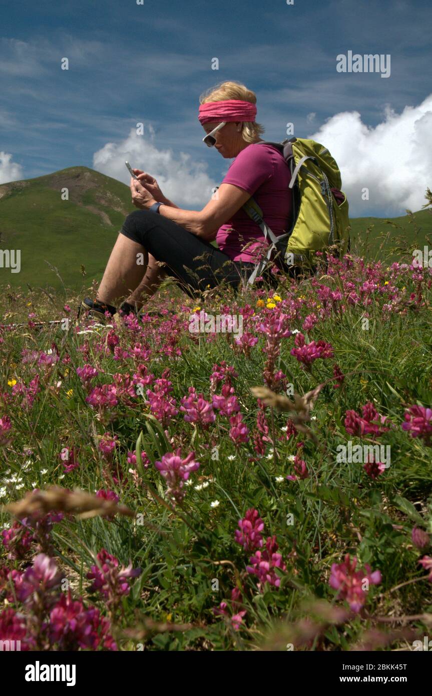 Attractive woman in walking gear sitting among alpine sainfoin (Hedysarum hedysaroides) filling alpine meadow in Malbun, Liechtenstein Stock Photo