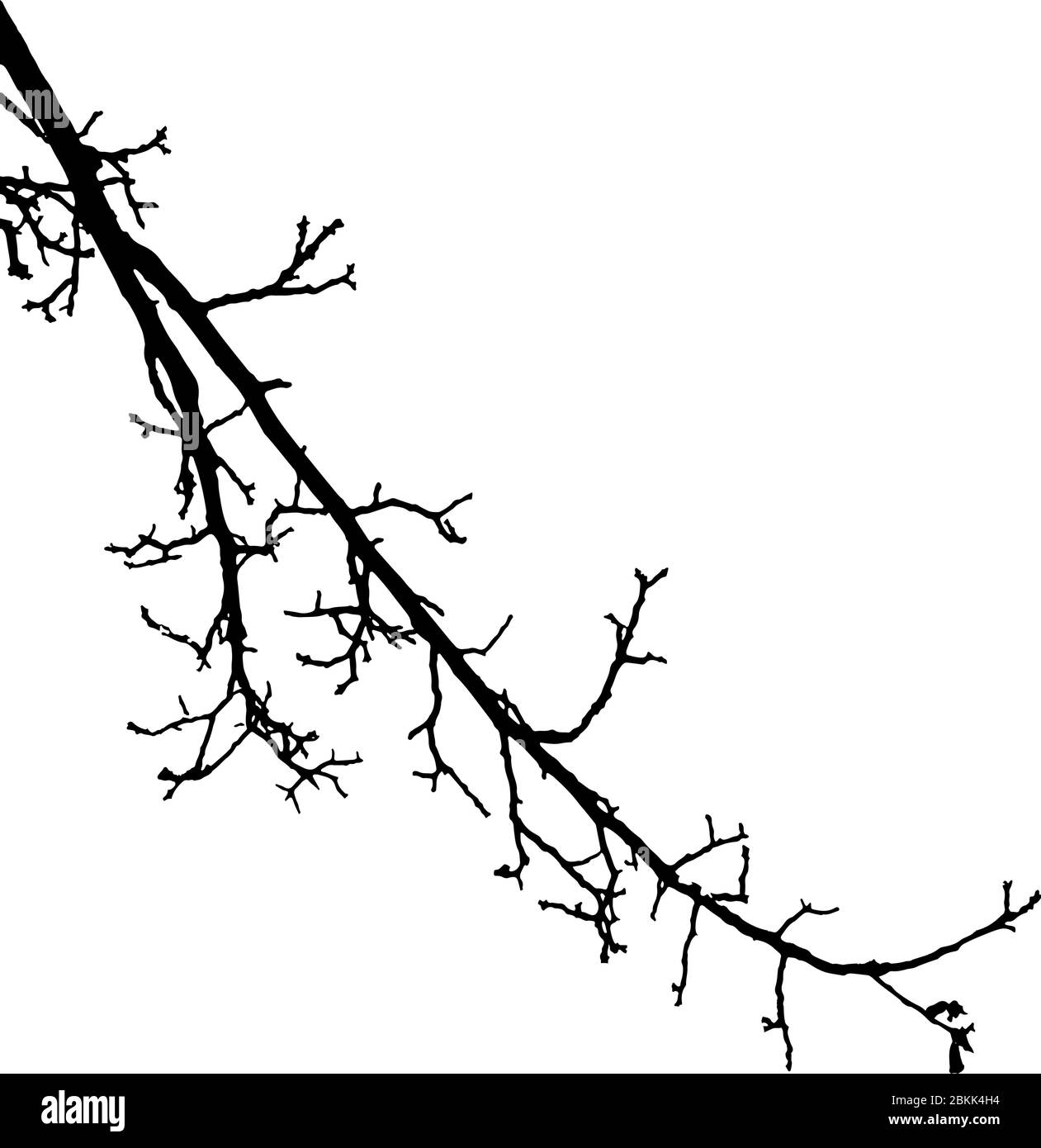 Tree Branches Silhouette Stock Vector Image Art Alamy