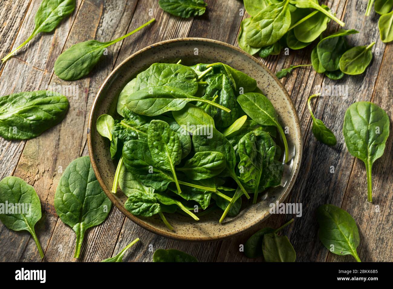Raw Organic Fresh Baby Spinach in a Bowl Stock Photo Alamy